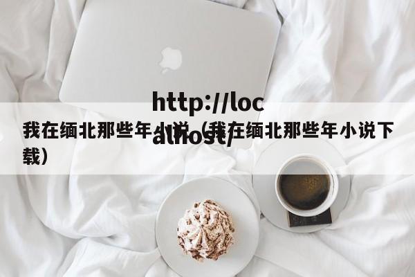 我在缅北那些年小说（我在缅北那些年小说下载）
